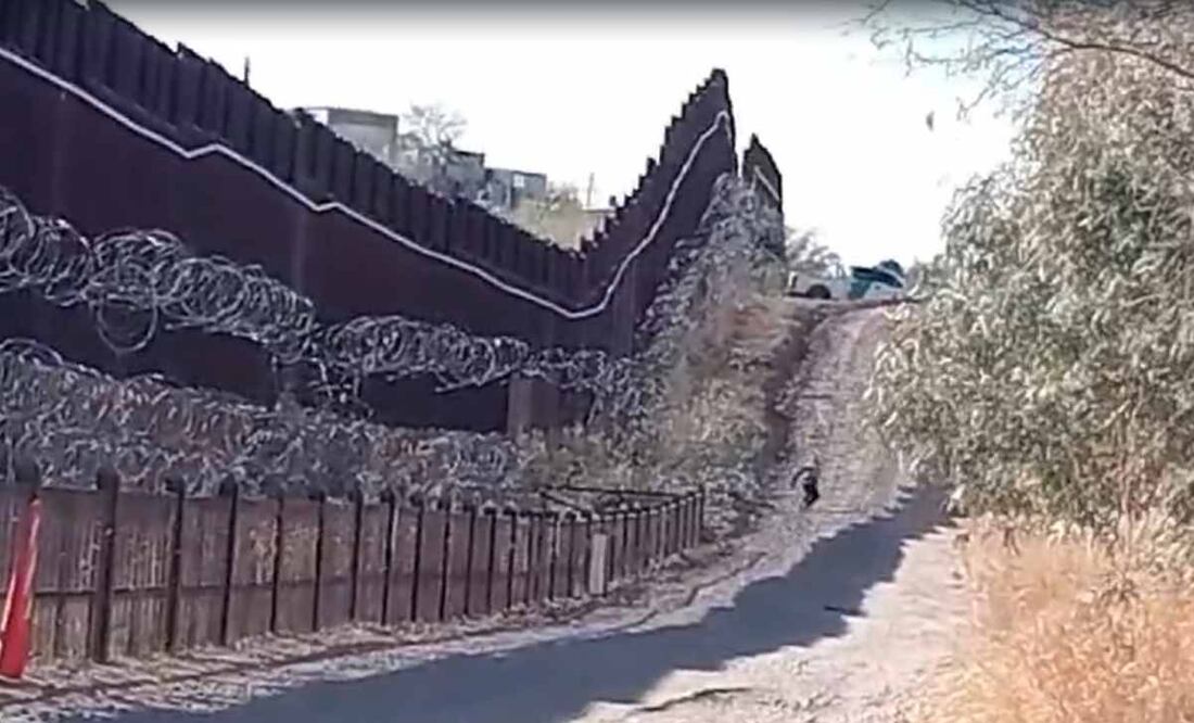 Pese a amenazas de Trump, migrantes siguen brincando el muro por Nogales. Foto: Captura de pantalla