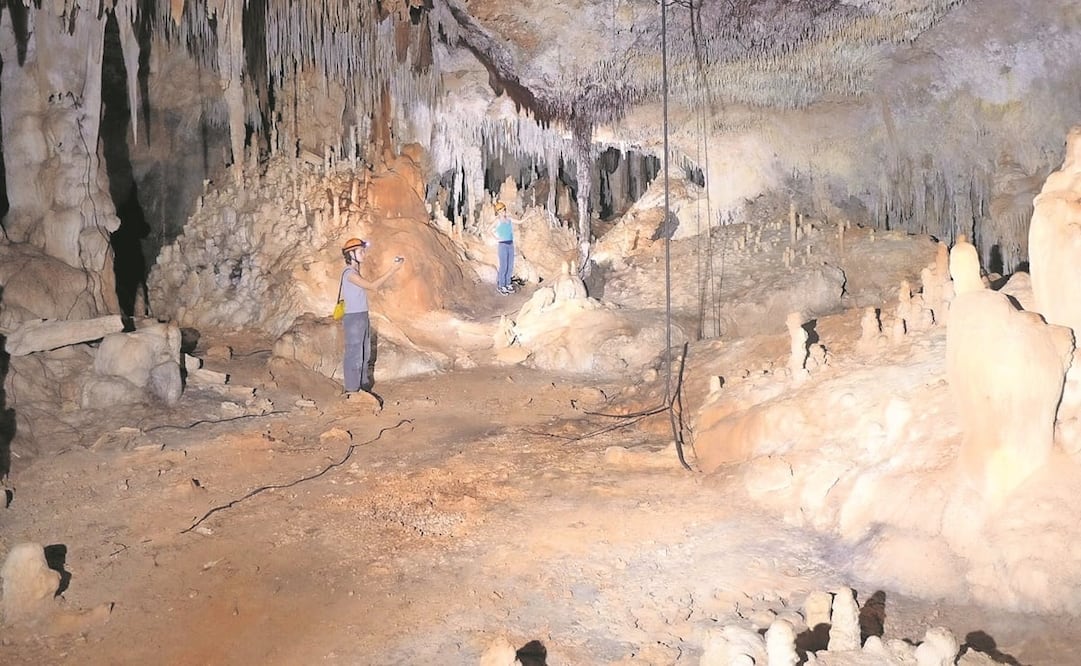 Interior de la caverna Angry Wasp, localizada en Xpu Ha, cuya entrada está justo por donde corre el nuevo trazo del Tramo 5 del megaproyecto Tren Maya, que va de Cancún a Tulum. Foto: Peter Sprouse
