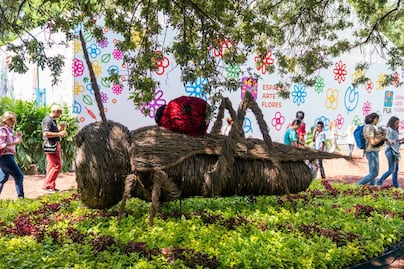 Festival de Flores y Jardines 2026 en CDMX: ya hay fechas y sedes