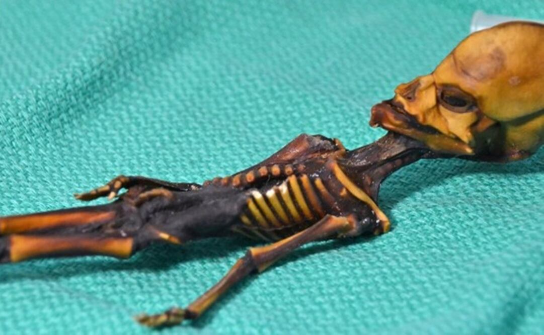 "Ata", como también se le conoce, fue descubierto en una bolsa de piel abandonada tras una iglesia en el desierto de Atacama, Chile. (FOTO: AFP)