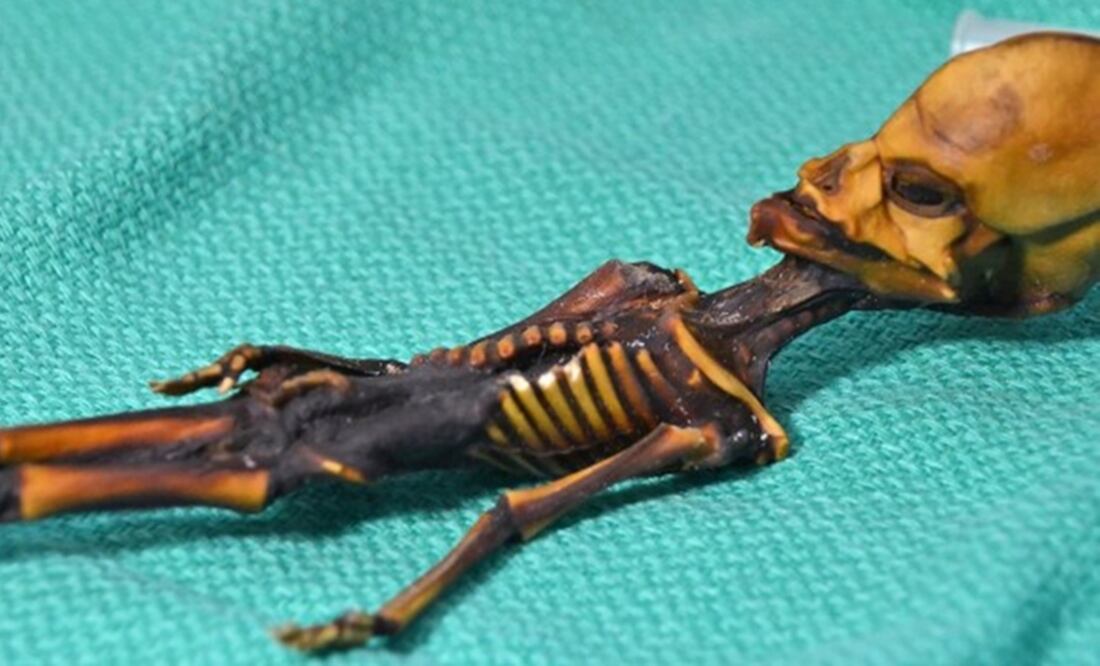 "Ata", como también se le conoce, fue descubierto en una bolsa de piel abandonada tras una iglesia en el desierto de Atacama, Chile. (FOTO: AFP)