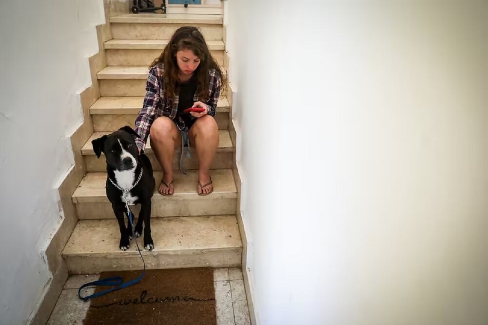 Una mujer y su perro esperan en las escaleras de su casa en Jerusalén luego de que sonaran sirenas de alerta roja por un misil desde Gaza. FOTO: CORTESÍA TIMES OF ISRAEL