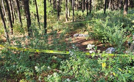 Grupo criminal ataca a elementos de Guardia Civil y Nacional, en Zinapécuaro, Michoacán