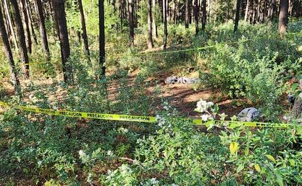 Grupo criminal ataca a elementos de Guardia Civil y Nacional, en Zinapécuaro, Michoacán