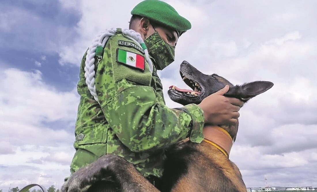 El buen adiestramiento del perro se logra con base en el vínculo que genera con el entrenador. Foto: ESPECIAL