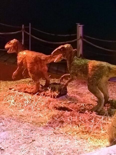 Lo que verás en Dinoexpertos en el Papalote Museo del Niño