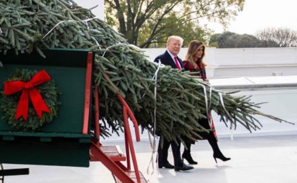 Por primera vez, Donald Trump recibe árbol de Navidad de la Casa Blanca