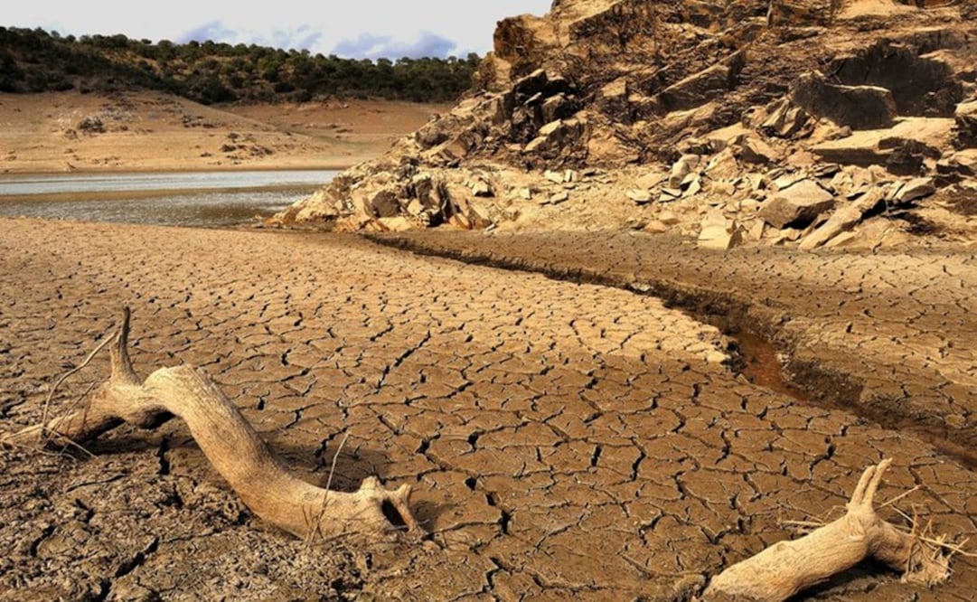 (FOTO: Archivo/EL UNIVERSAL)