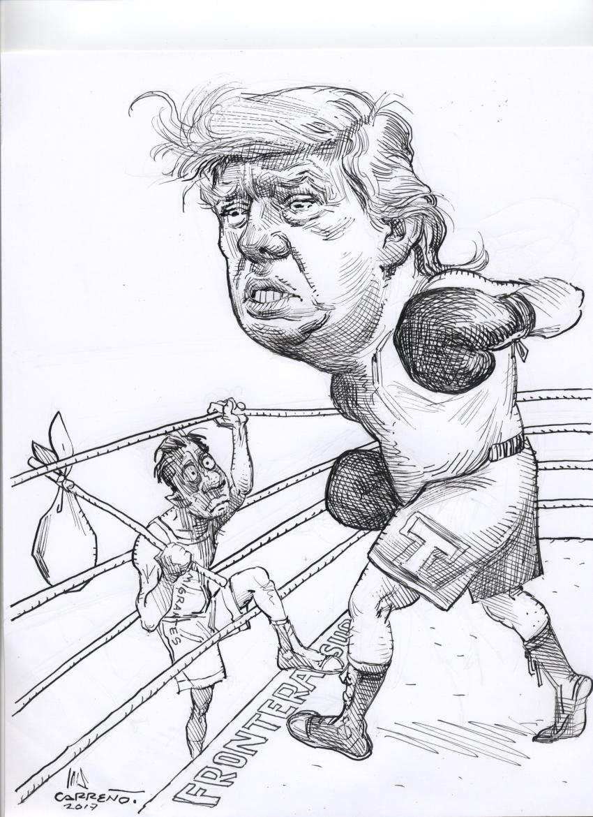 Pleitero profesional