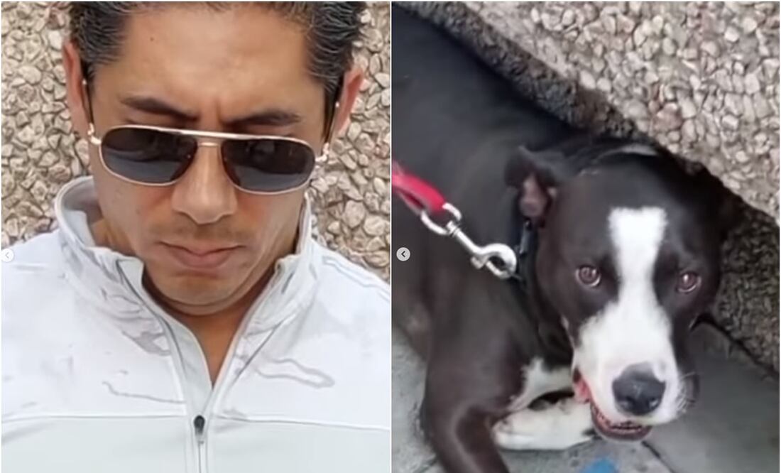 FOTO: tomada de Instagram perritos contentos/ EL UNIVERSAL/