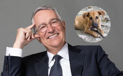 Salinas Pliego propone "coperacha" para animales en situación de calle: "que no pasen frío"