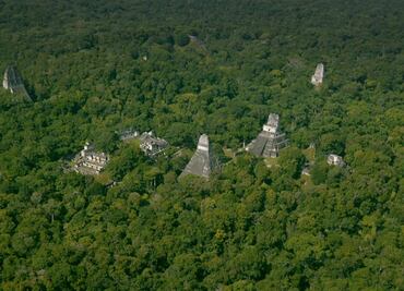 Guatemala no garantiza conservación de hallazgos mayas