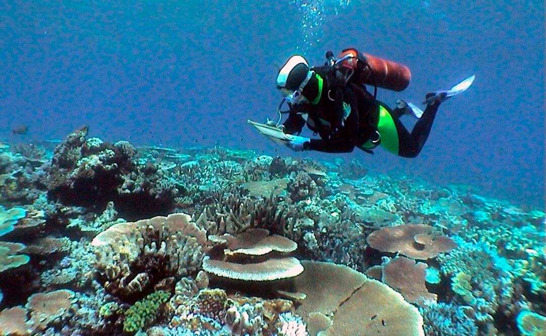 Situado en el noreste del país oceánico. Foto: EFE/ARC Centre of Excellence for Coral Reef Studie 