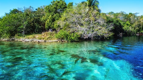Restauración de islas mexicanas