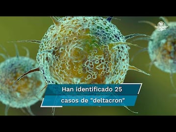 Hallan la variante "deltacron" en Chipre, una combinación de las variantes delta y ómicron