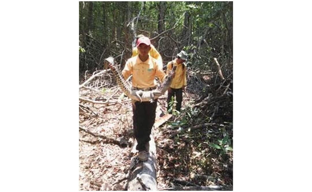 Foto: Oscar Gutiérrez