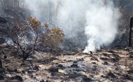 Caen dos por provocar incendios forestales en Puebla; ecocidas, responsables de la gran mayoría de estos incendios, señala gobernador
