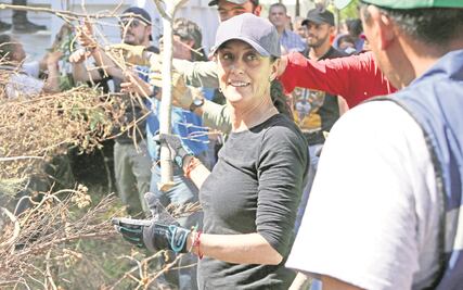 “Grin puede pelear en tribunales”