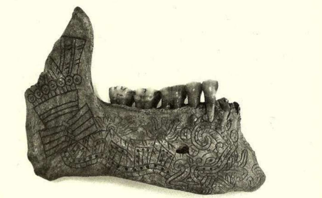 Jaws were used for ritual purposes in ancient cultures - Photo: File photo/EL UNIVERSAL