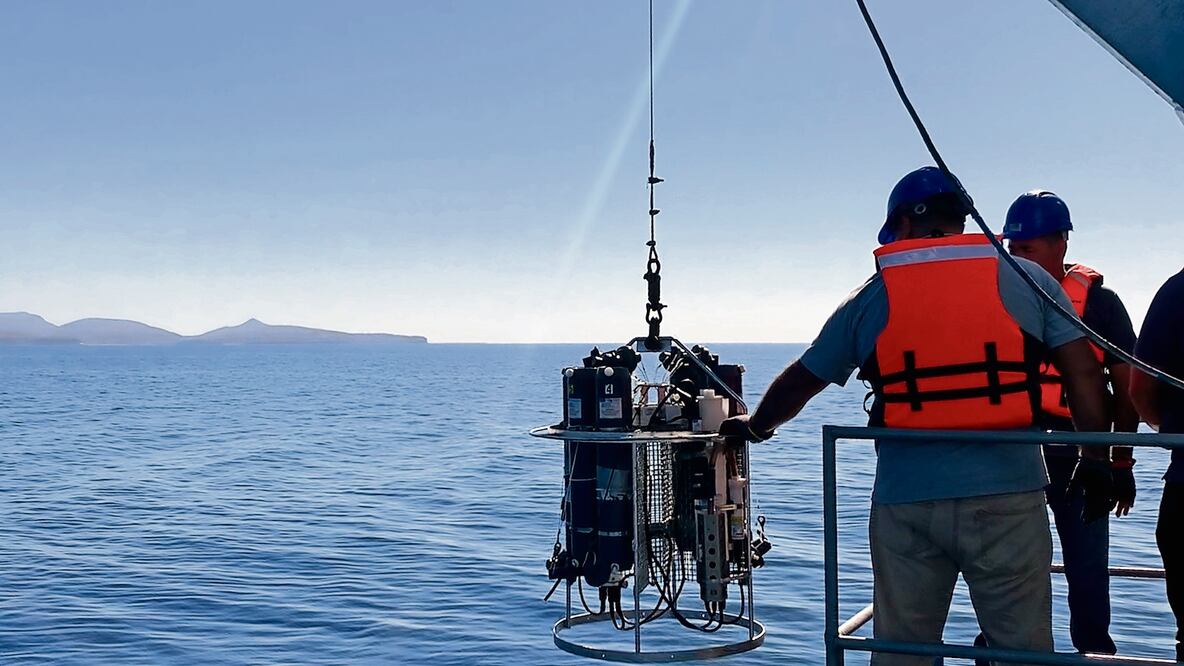 Especialistas señalan que este crucero efectúa estudios y reconocimientos oceanográficos, para entender el hábitat de especies amenazadas. FOTOS: MILDRED RAMOS. EL UNIVERSAL