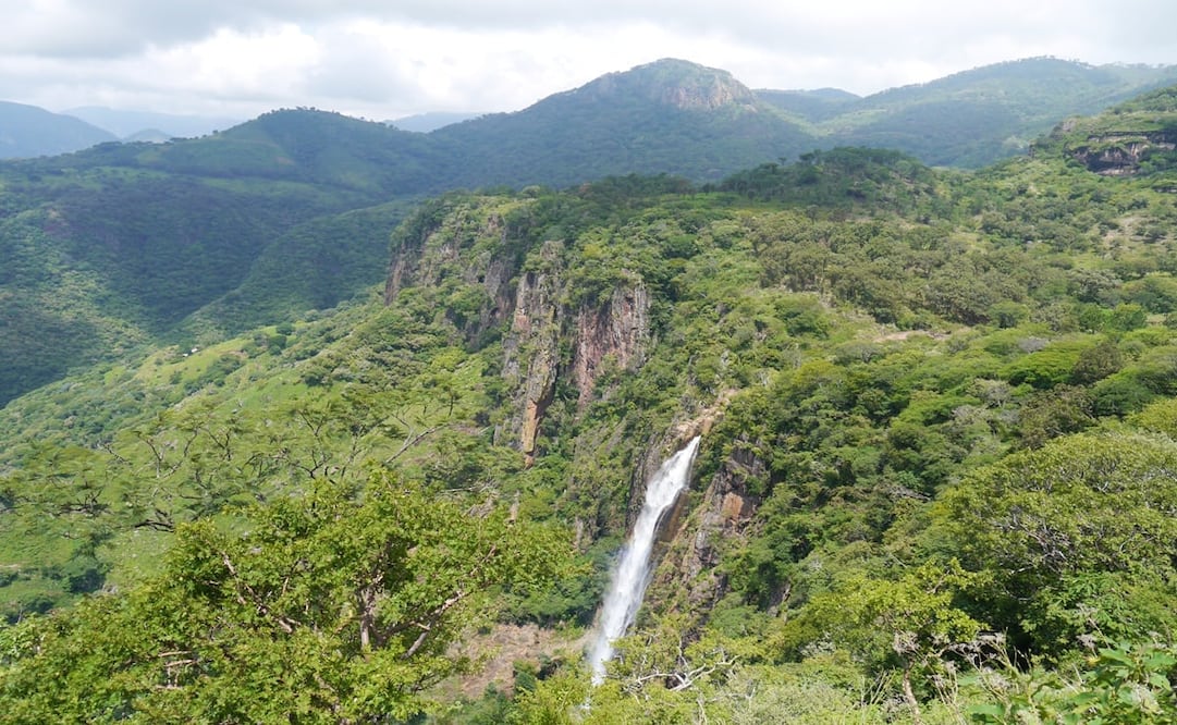 Observa sus cascadas desde alguno de sus 5 miradores. Foto: Cortesía CEPANAF 