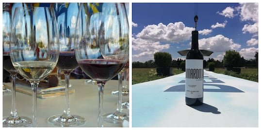 Vinardo se renueva con su nueva cosecha