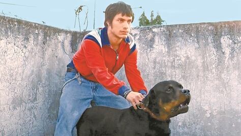 Películas mexicanas para ver en cuarentena