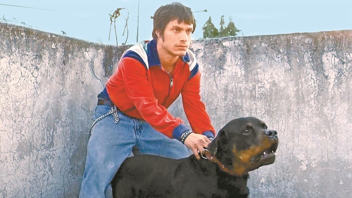 Amores perros fue la ópera prima de González Iñárritu. Foto: ARCHIVO EL UNIVERSAL