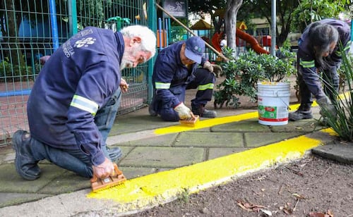 Alcaldía Benito Juárez realiza obras de mantenimiento y recuperación en 24 parques; también reforestan y recolectan residuos