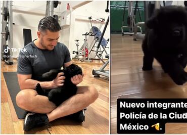 VIDEO: García Harfuch presenta al nuevo integrante de la Policía CDMX; usuarias lo llenan de piropos