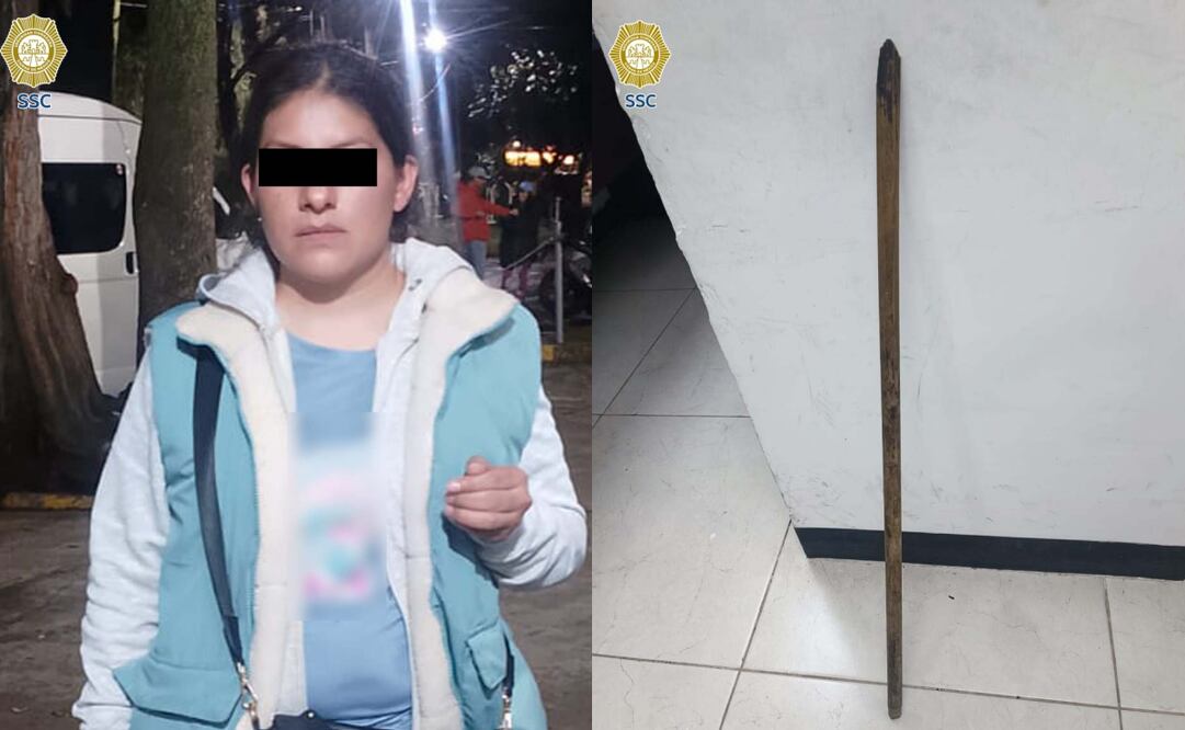 Una mujer discutió y luego atacó con un palo a una ciudadana iraní. Foto: Especial.