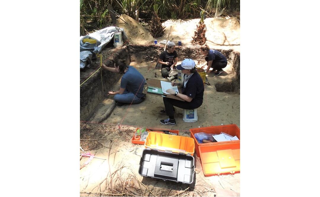 Foto: Universidad del Norte de Florida