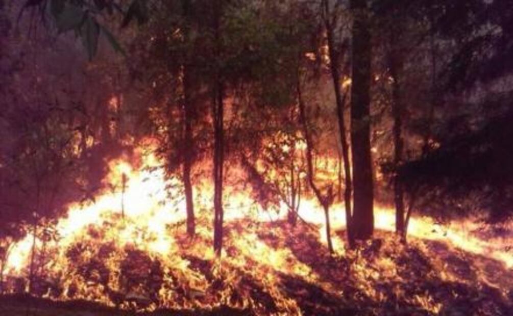 Se registra incendio en Monte Alto, Valle de Bravo