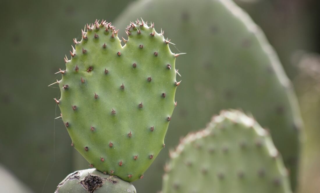 Foto: Archivo EL UNIVERSAL