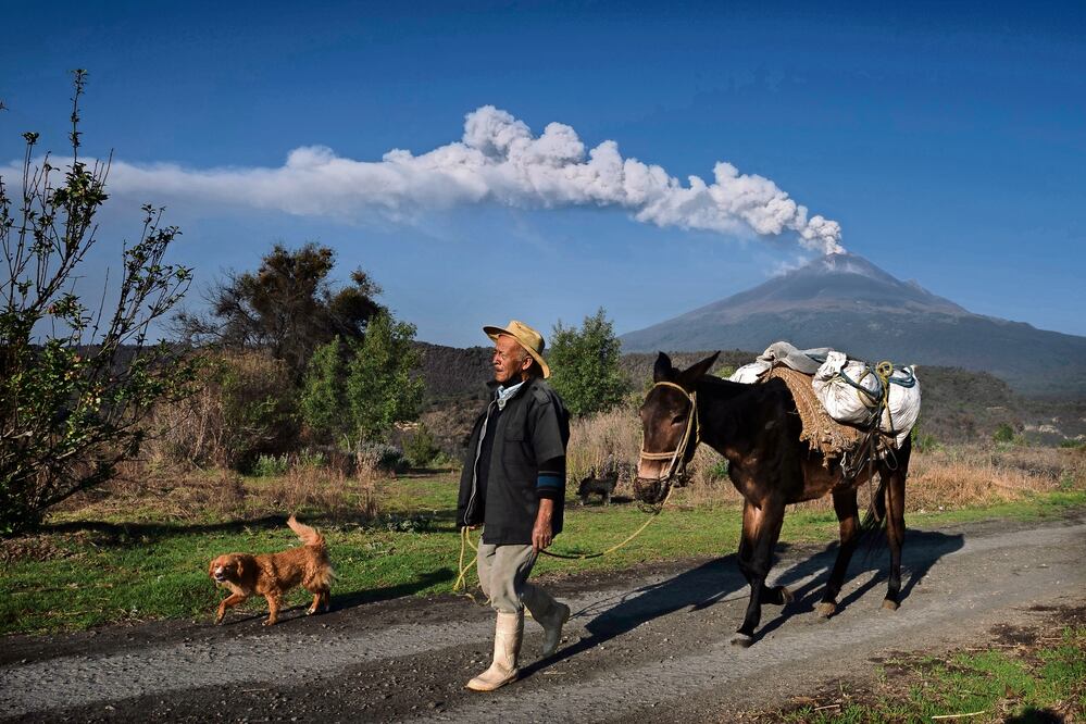 José Marcos de Olarte pasea su mula para sembrar maíz en su tierra cerca del volcán Popocatépetl que arroja ceniza y vapor en Santiago Xalitzintla, México, la madrugada del jueves 25 de mayo de 2023, Foto: Marco Ugarte / AP