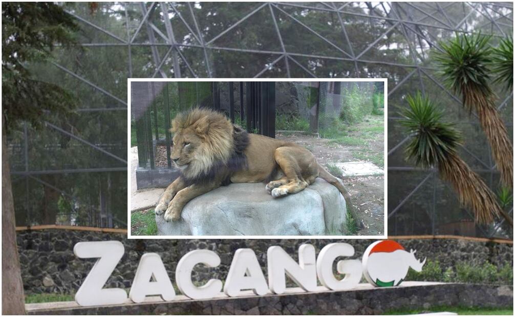 Zoológico de Zacango. Foto: Especial