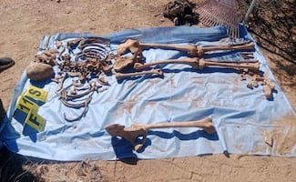Colectivo localiza 16 fosas clandestinas en Sonora; Fiscalía investiga restos óseos