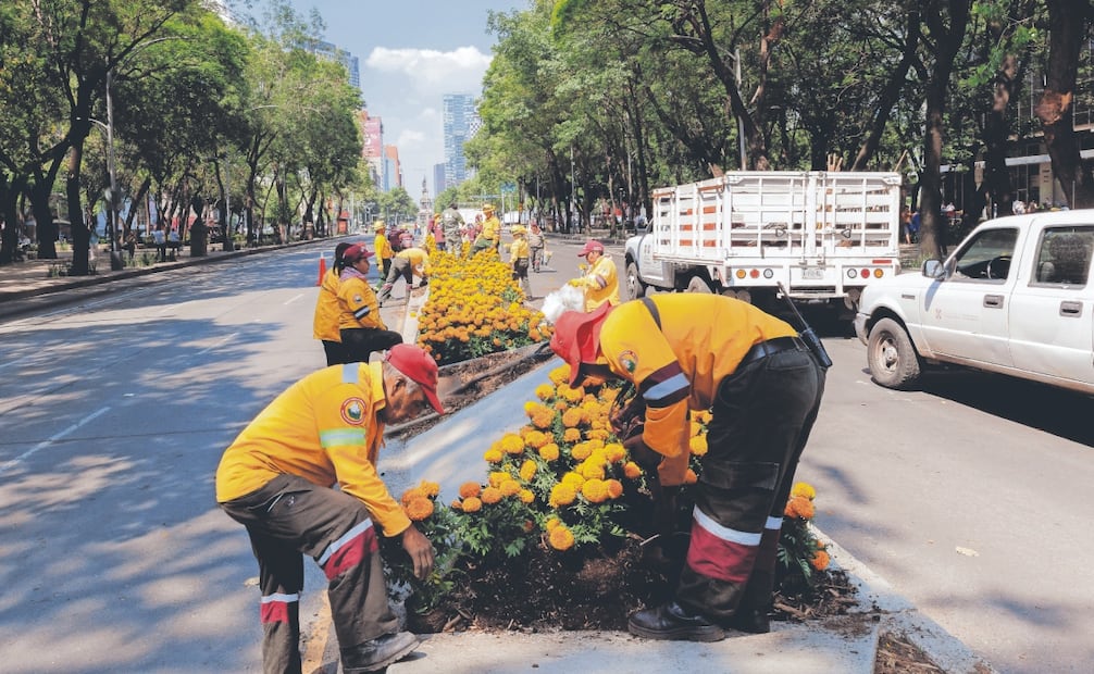 Los trabajadores de la Secretaría de Obras aprovecharon el cierre de Reforma para semblar la tradicional flor. Foto: Osmar Alvarado/ EL UNIVERSAL