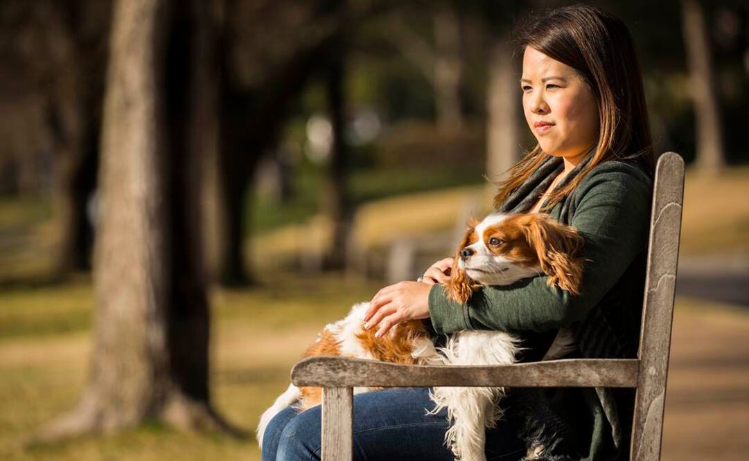 Perros detectarán cáncer en Reino Unido