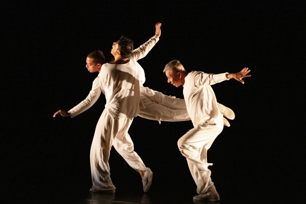 El Circo ContemporáNEO, agrupación de danza multidisciplinaria.
Foto: INBAL