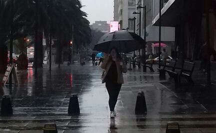 Encharcamiento y árboles caídos dejan lluvias en la CDMX