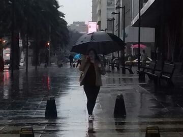 Encharcamiento y árboles caídos dejan lluvias en la CDMX