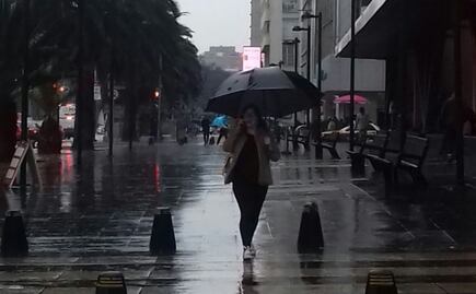 Encharcamiento y árboles caídos dejan lluvias en la CDMX
