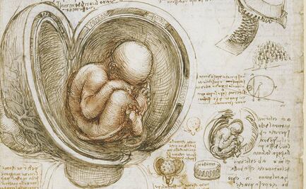 ¿Las vacunas contra Covid-19 están hechas con restos de fetos humanos?