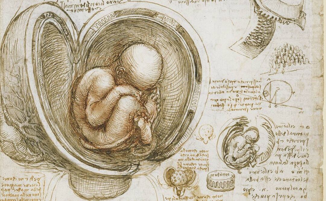 ¿Las vacunas contra Covid-19 están hechas con restos de fetos humanos?