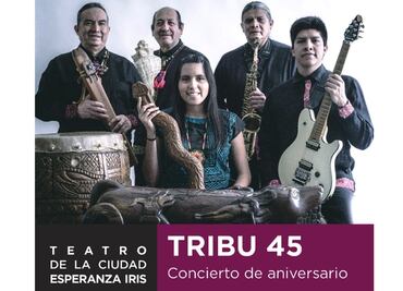 Instrumentos musicales prehispánicos no son piezas de museo: Grupo Tribu