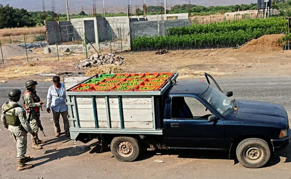 Detienen a 12 personas durante Plan Michoacán. Foto: Especial