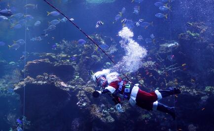Santa Claus bucea entre arrecifes de coral en San Francisco