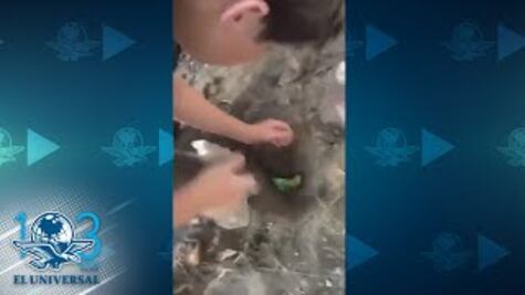 "Chimuelo", el primer viral de 2019 que llegó a la publicidad