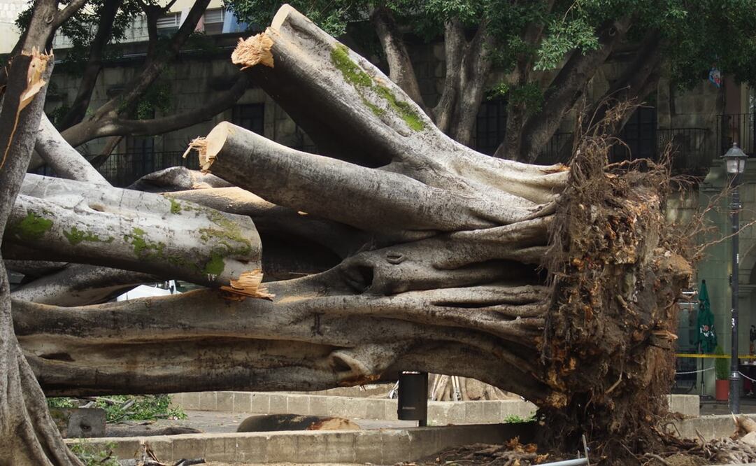 Foto: Edwin Hernández / EL UNIVERSAL